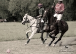 Název souboru=2015_pankova-polo-04322.jpg
Velikost souboru=228KB
Rozměry=900x644
Datum přidání=11. Září 2015 2015_pankova-polo-04322.jpg