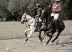 2015_pankova-polo-04322.jpg