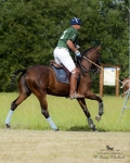 Název souboru=2015_pankova-polo-04332.jpg
Velikost souboru=278KB
Rozměry=721x900
Datum přidání=11. Září 2015 2015_pankova-polo-04332.jpg