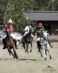 Název souboru=2015_pankova-polo-04333.jpg
Velikost souboru=247KB
Rozměry=720x900
Datum přidání=11. Září 2015 2015_pankova-polo-04333.jpg