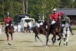 2015_pankova-polo-04335.jpg