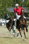 Název souboru=2015_pankova-polo-04337.jpg
Velikost souboru=235KB
Rozměry=600x900
Datum přidání=11. Září 2015 2015_pankova-polo-04337.jpg