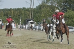 Název souboru=2015_pankova-polo-04339.jpg
Velikost souboru=274KB
Rozměry=900x601
Datum přidání=11. Září 2015 2015_pankova-polo-04339.jpg