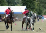 Název souboru=2015_pankova-polo-04369.jpg
Velikost souboru=245KB
Rozměry=900x643
Datum přidání=11. Září 2015 2015_pankova-polo-04369.jpg