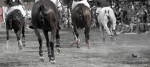Název souboru=2015_pankova-polo-04388.jpg
Velikost souboru=214KB
Rozměry=1100x495
Datum přidání=11. Září 2015 2015_pankova-polo-04388.jpg