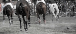 2015_pankova-polo-04388.jpg