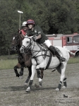 Název souboru=2015_pankova-polo-04398.jpg
Velikost souboru=259KB
Rozměry=676x900
Datum přidání=11. Září 2015 2015_pankova-polo-04398.jpg