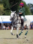 Název souboru=2015_pankova-polo-04421.jpg
Velikost souboru=231KB
Rozměry=676x900
Datum přidání=11. Září 2015 2015_pankova-polo-04421.jpg