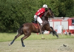 Název souboru=2015_pankova-polo-04424.jpg
Velikost souboru=233KB
Rozměry=900x643
Datum přidání=11. Září 2015 2015_pankova-polo-04424.jpg