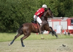 2015_pankova-polo-04424.jpg