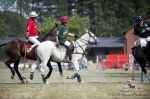 Název souboru=2015_pankova-polo-04438.jpg
Velikost souboru=247KB
Rozměry=900x599
Datum přidání=11. Září 2015 2015_pankova-polo-04438.jpg