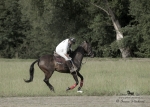 Název souboru=2015_pankova-polo-04456.jpg
Velikost souboru=229KB
Rozměry=900x644
Datum přidání=11. Září 2015 2015_pankova-polo-04456.jpg