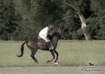 2015_pankova-polo-04456.jpg