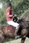 Název souboru=2015_pankova-polo-04468.jpg
Velikost souboru=199KB
Rozměry=600x900
Datum přidání=11. Září 2015 2015_pankova-polo-04468.jpg