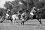 Název souboru=2015_pankova-polo-04493.jpg
Velikost souboru=232KB
Rozměry=900x599
Datum přidání=11. Září 2015 2015_pankova-polo-04493.jpg