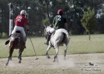 Název souboru=2015_pankova-polo-04619.jpg
Velikost souboru=249KB
Rozměry=900x643
Datum přidání=11. Září 2015 2015_pankova-polo-04619.jpg