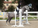Název souboru=2019_photo-pankova-00622.jpg
Velikost souboru=252KB
Rozměry=900x675
Datum přidání=24. Říjen 2019 2019_photo-pankova-00622.jpg