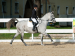 Název souboru=2019_photo-pankova-00758.jpg
Velikost souboru=245KB
Rozměry=900x675
Datum přidání=24. Říjen 2019 2019_photo-pankova-00758.jpg