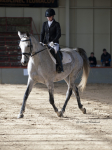 Název souboru=2019_photo-pankova-00791.jpg
Velikost souboru=217KB
Rozměry=675x900
Datum přidání=24. Říjen 2019 2019_photo-pankova-00791.jpg