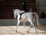 Název souboru=2019_photo-pankova-00907.jpg
Velikost souboru=207KB
Rozměry=900x675
Datum přidání=24. Říjen 2019 2019_photo-pankova-00907.jpg