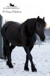 Název souboru=IPA_3373.jpg
Velikost souboru=228KB
Rozměry=533x800
Datum přidání=19. Leden 2009 IPA_3373.jpg