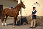 Název souboru=IPA_3905.jpg
Velikost souboru=321KB
Rozměry=800x534
Datum přidání=14. Duben 2009 IPA_3905.jpg