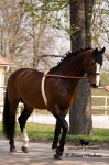 Název souboru=IPA_3907.jpg
Velikost souboru=393KB
Rozměry=533x800
Datum přidání=14. Duben 2009 IPA_3907.jpg