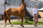 Název souboru=IPA_3962.jpg
Velikost souboru=352KB
Rozměry=800x533
Datum přidání=14. Duben 2009 IPA_3962.jpg