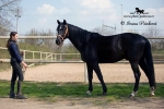 Název souboru=IPA_4060.jpg
Velikost souboru=350KB
Rozměry=800x534
Datum přidání=21. Duben 2009 IPA_4060.jpg