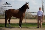 Název souboru=IPA_4114.jpg
Velikost souboru=302KB
Rozměry=800x534
Datum přidání=20. Duben 2009 IPA_4114.jpg