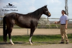 Název souboru=IPA_4120.jpg
Velikost souboru=321KB
Rozměry=800x534
Datum přidání=20. Duben 2009 IPA_4120.jpg
