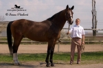 Název souboru=IPA_4163.jpg
Velikost souboru=304KB
Rozměry=800x534
Datum přidání=20. Duben 2009 IPA_4163.jpg