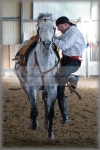 Název souboru=_DSC2861.jpg
Velikost souboru=197KB
Rozměry=467x700
Datum přidání=20. Březen 2008 _DSC2861.jpg