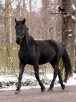Název souboru=_IPA3089.jpg
Velikost souboru=462KB
Rozměry=600x800
Datum přidání=09. Prosinec 2008 _IPA3089.jpg