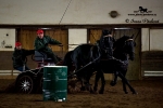 Název souboru=_IPA3235.jpg
Velikost souboru=196KB
Rozměry=600x400
Datum přidání=23. Březen 2009 _IPA3235.jpg