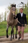 Název souboru=_IPA4387.jpg
Velikost souboru=320KB
Rozměry=534x800
Datum přidání=04. Květen 2009 _IPA4387.jpg