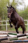 Název souboru=_IPA4443.jpg
Velikost souboru=343KB
Rozměry=534x800
Datum přidání=29. Duben 2009 _IPA4443.jpg