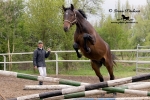 Název souboru=_IPA4451.jpg
Velikost souboru=409KB
Rozměry=800x534
Datum přidání=29. Duben 2009 _IPA4451.jpg