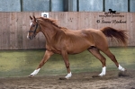 Název souboru=_IPA4557.jpg
Velikost souboru=261KB
Rozměry=700x466
Datum přidání=26. Duben 2009 _IPA4557.jpg