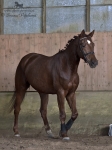 Název souboru=_IPA5633.jpg
Velikost souboru=190KB
Rozměry=599x800
Datum přidání=21. Březen 2011 _IPA5633.jpg