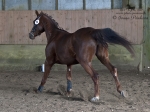 Název souboru=_IPA5637.jpg
Velikost souboru=221KB
Rozměry=800x599
Datum přidání=21. Březen 2011 _IPA5637.jpg