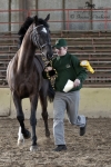 Název souboru=_IPA5739.jpg
Velikost souboru=197KB
Rozměry=534x800
Datum přidání=21. Březen 2011 _IPA5739.jpg