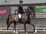 Název souboru=_IPA6339.jpg
Velikost souboru=206KB
Rozměry=800x600
Datum přidání=28. Březen 2011 _IPA6339.jpg