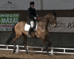 Název souboru=_IPA6445.jpg
Velikost souboru=197KB
Rozměry=800x641
Datum přidání=28. Březen 2011 _IPA6445.jpg
