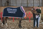 Název souboru=2010_pankova_003018.jpg
Velikost souboru=415KB
Rozměry=800x534
Datum přidání=30. Březen 2010 2010_pankova_003018.jpg