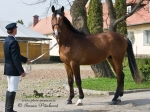 Název souboru=2010_pankova_003095.jpg
Velikost souboru=414KB
Rozměry=800x600
Datum přidání=12. Duben 2010 2010_pankova_003095.jpg