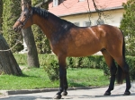 Název souboru=2010_pankova_003159.jpg
Velikost souboru=441KB
Rozměry=800x600
Datum přidání=12. Duben 2010 2010_pankova_003159.jpg