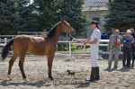 Název souboru=2010_pankova_03787.jpg
Velikost souboru=237KB
Rozměry=800x533
Datum přidání=03. Květen 2010 2010_pankova_03787.jpg