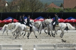 Název souboru=2010_pankova_04067.jpg
Velikost souboru=217KB
Rozměry=800x533
Datum přidání=19. Květen 2010 2010_pankova_04067.jpg