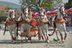 Název souboru=2010_pankova_04161.jpg
Velikost souboru=393KB
Rozměry=800x534
Datum přidání=09. Květen 2010 2010_pankova_04161.jpg